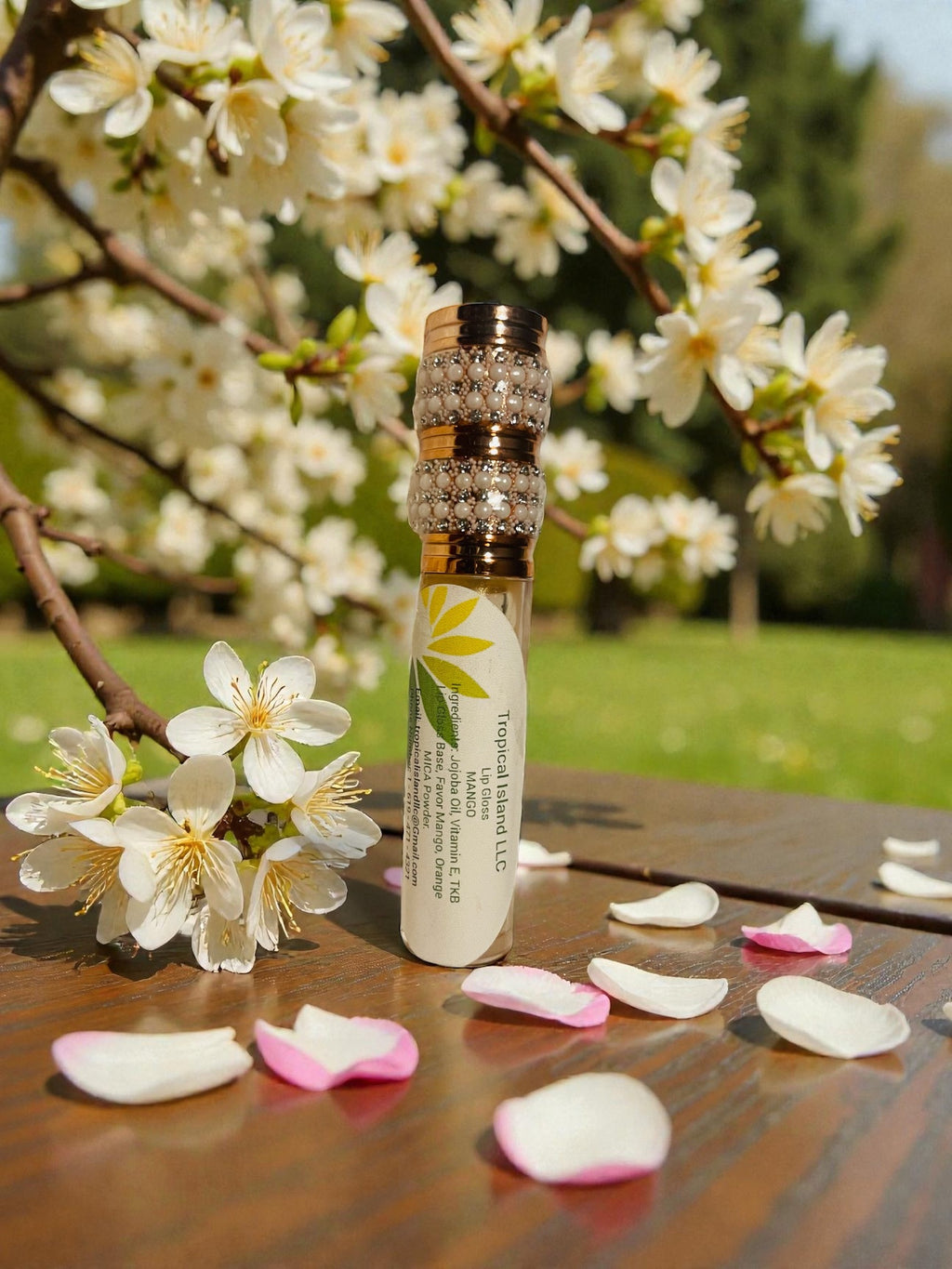 Natural Lip Gloss
