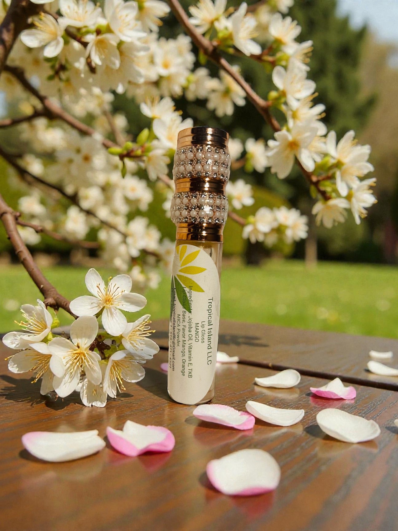 Natural Lip Gloss